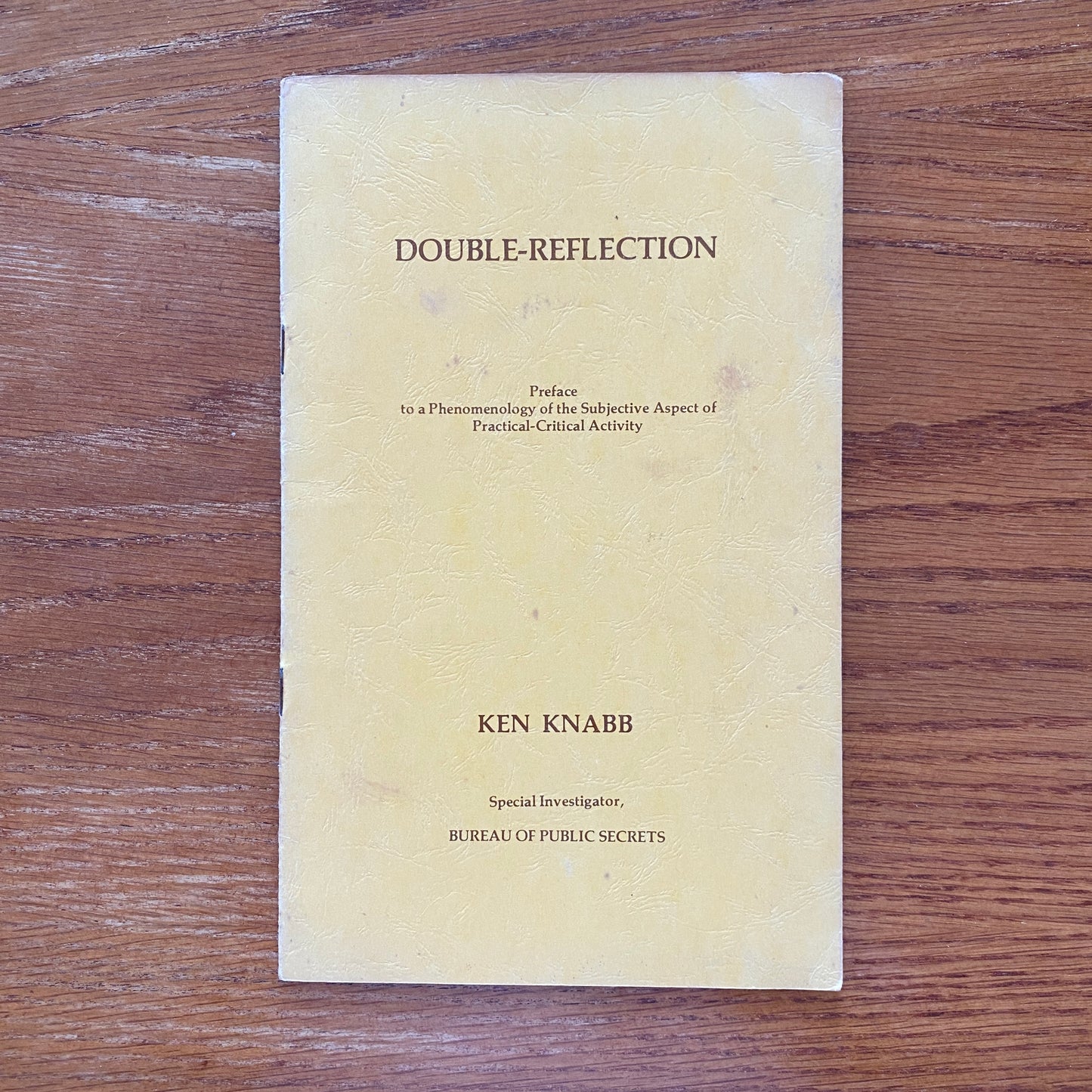 Double Reflection - Ken Knabb