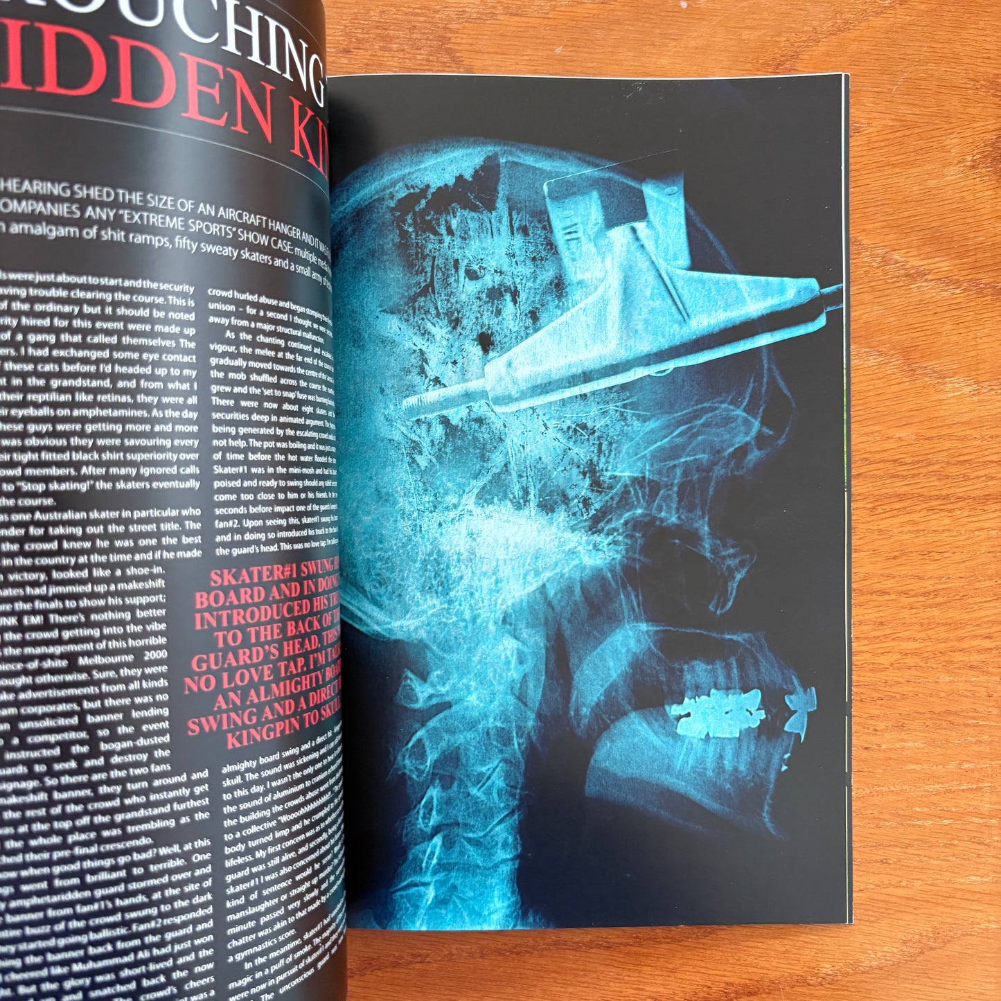 The Skateboarder's Journal 10