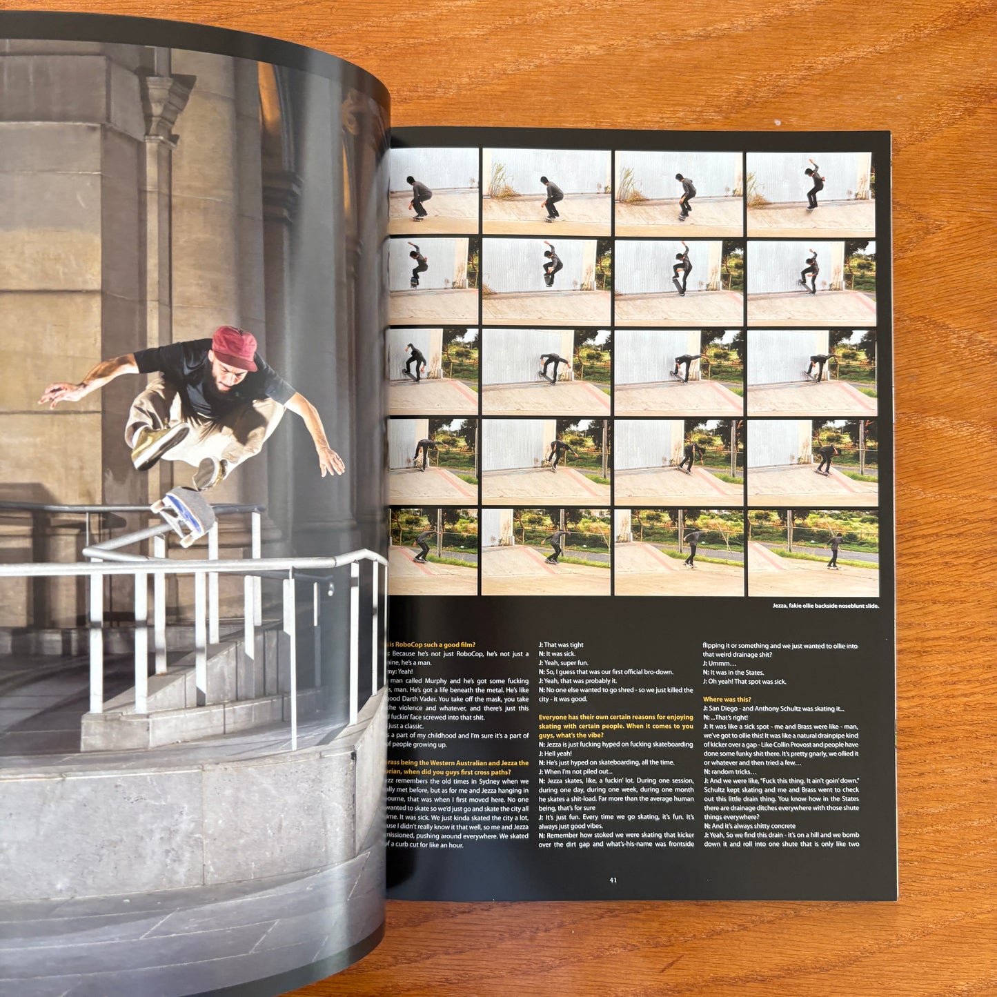 The Skateborder's Journal 20