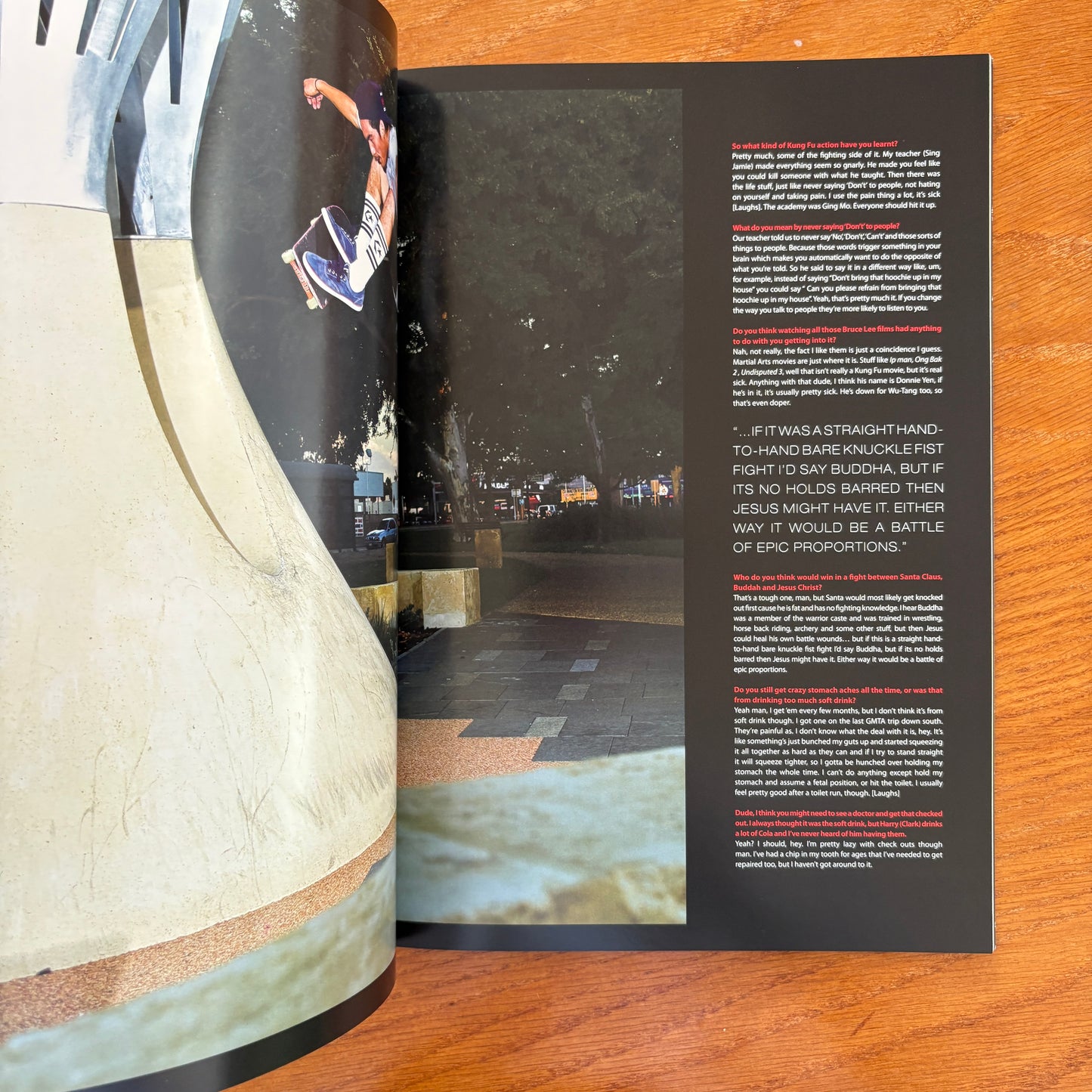 The Skateboarder's Journal 19