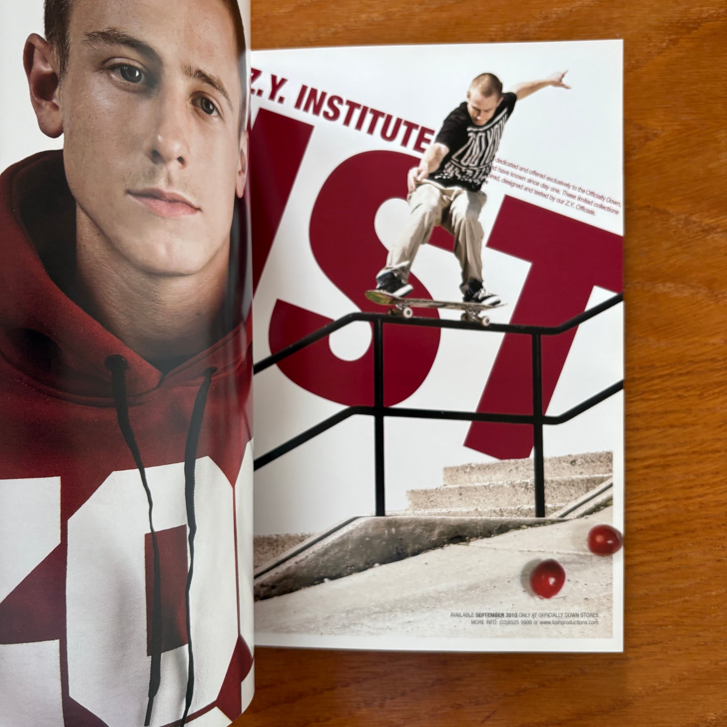The Skateboarder's Journal 17