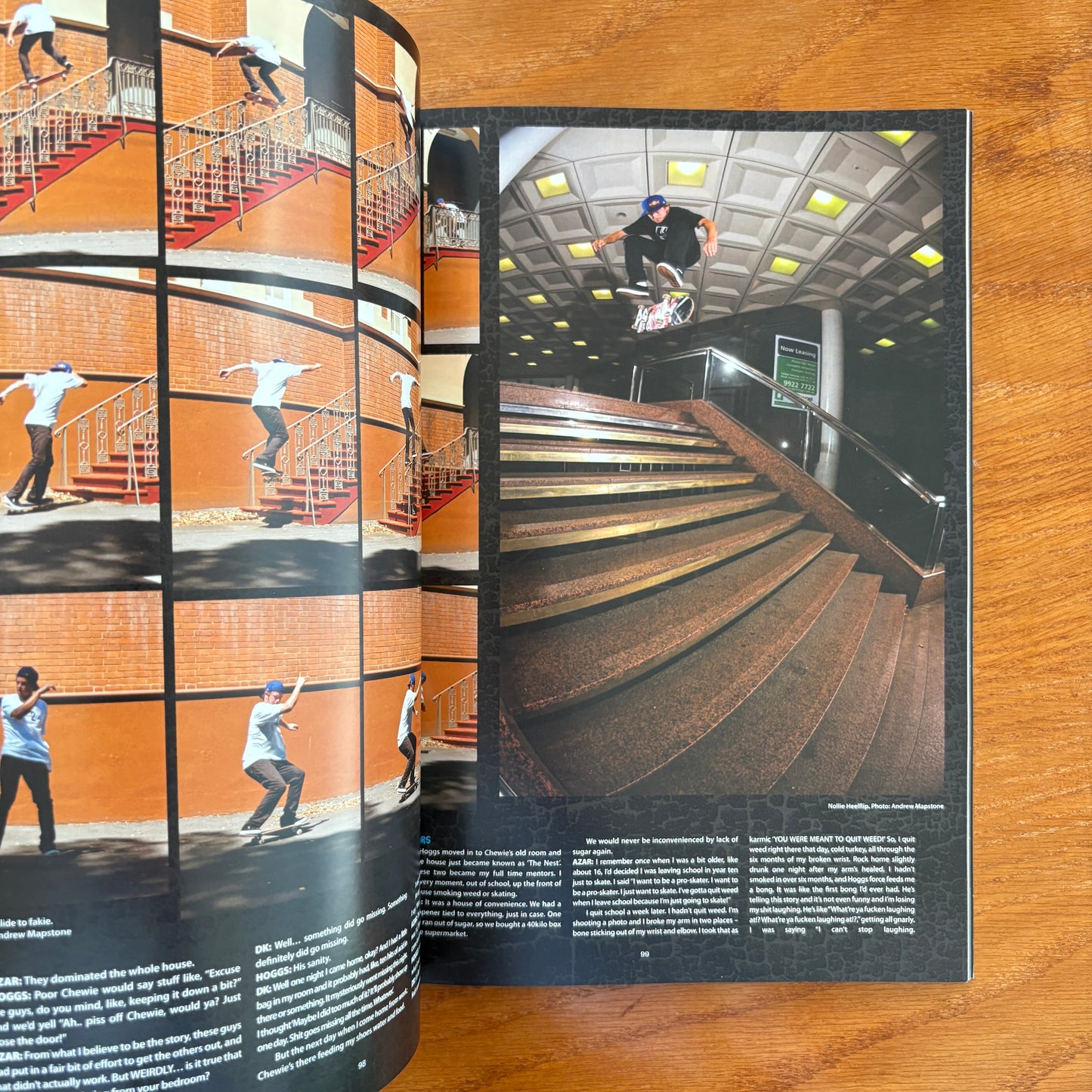 The Skateboarder's Journal 13