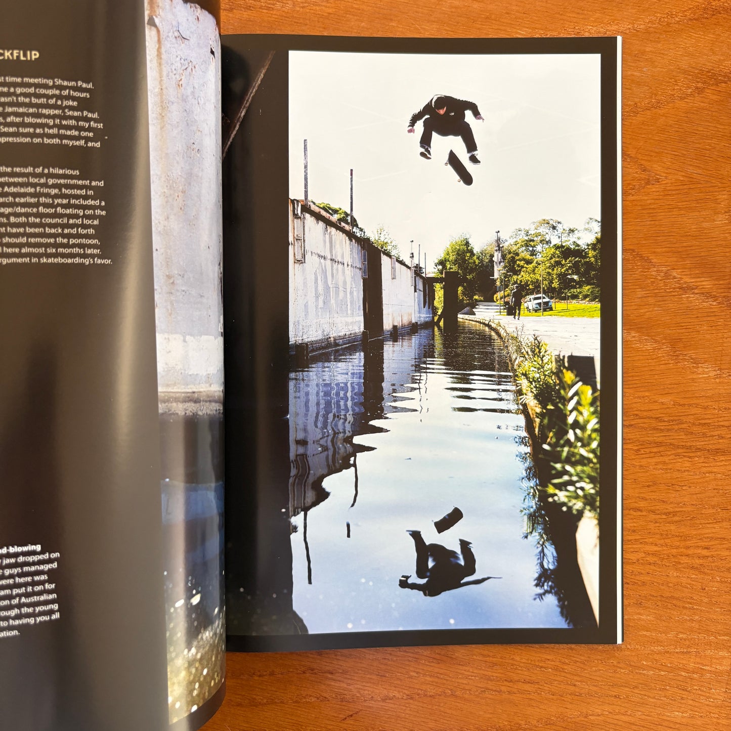 The Skateboarder's Journal 38