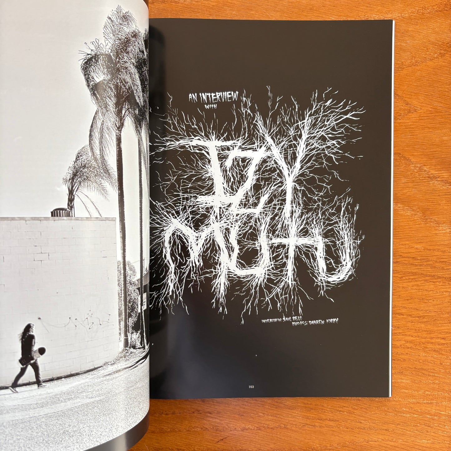 The Skateboarder's Journal 38