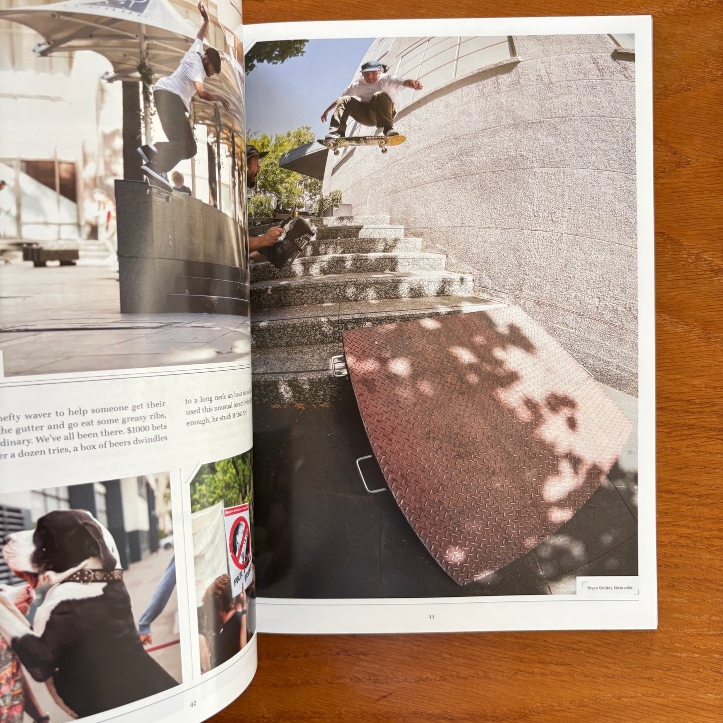 The Skateboarder's Journal 38
