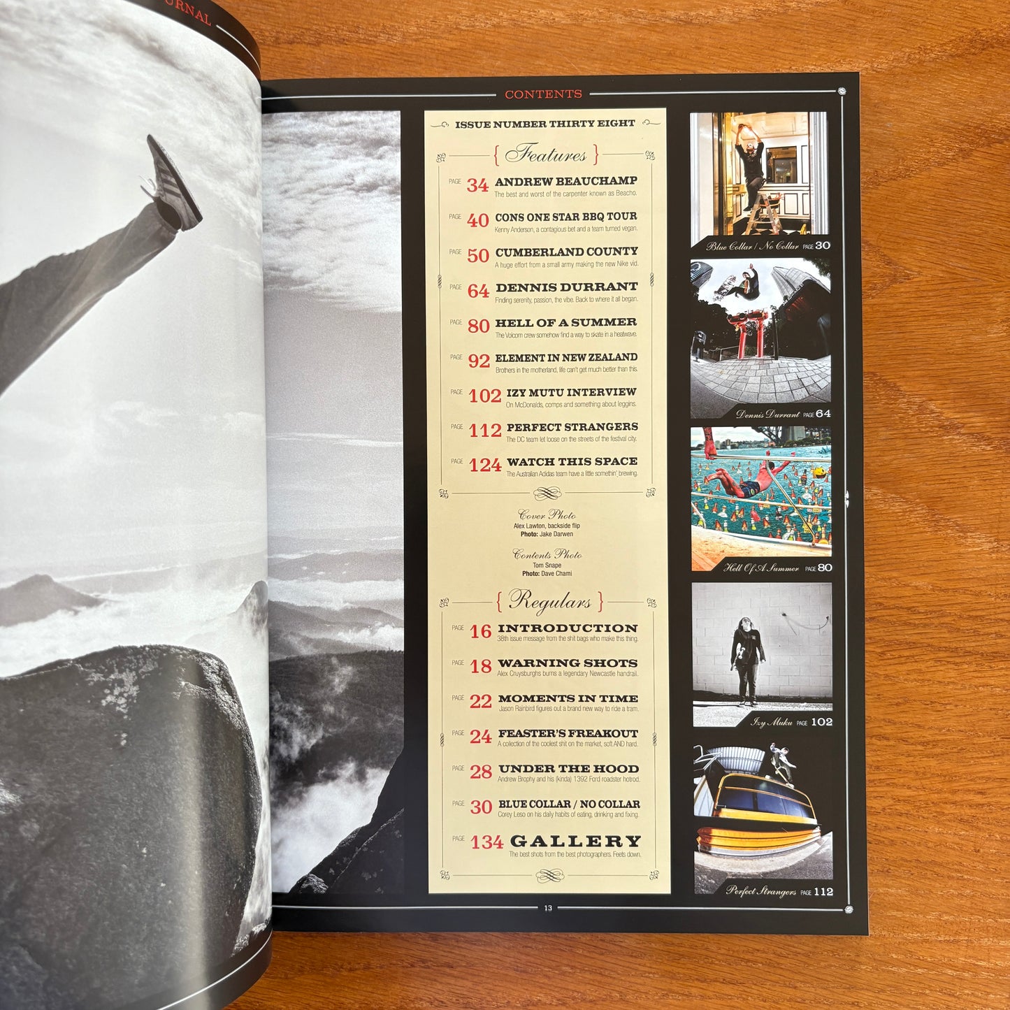 The Skateboarder's Journal 38