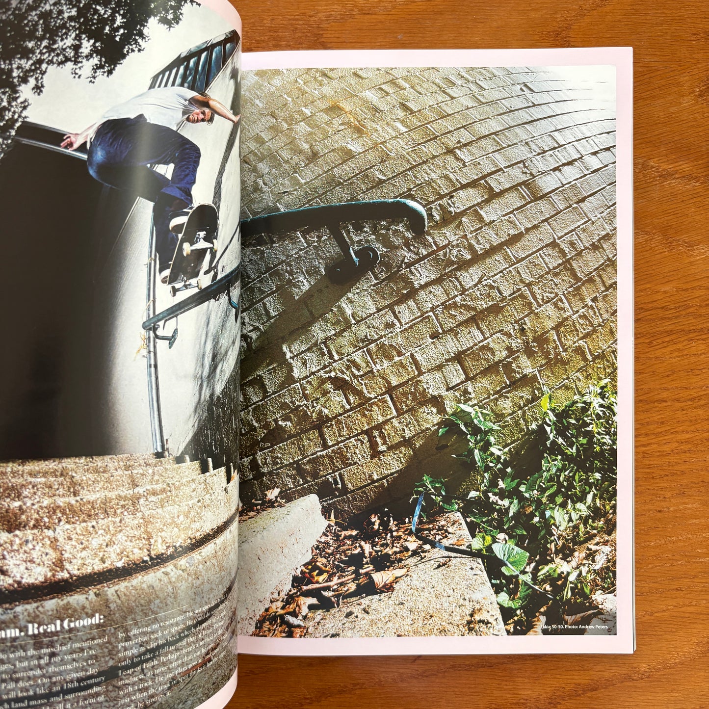 The Skateboarder's Journal 35