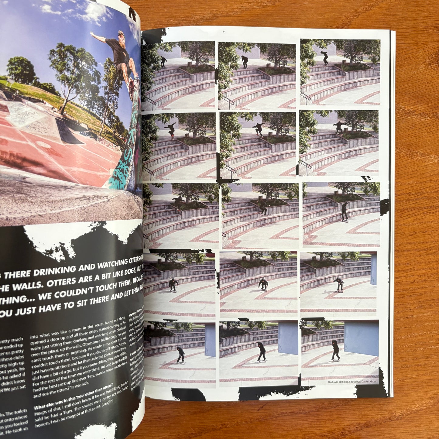 The Skateboarder's Journal 34