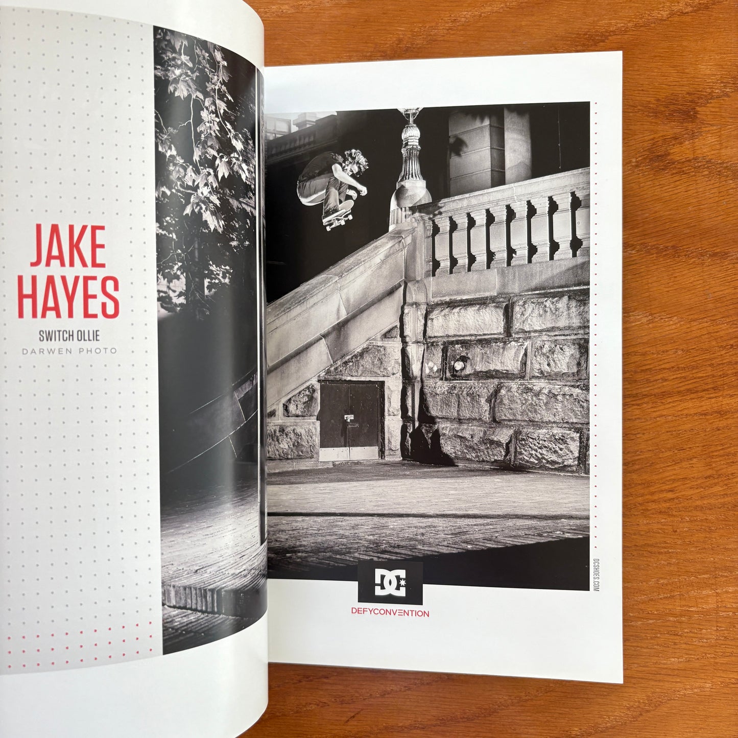 The Skateboarder's Journal 33