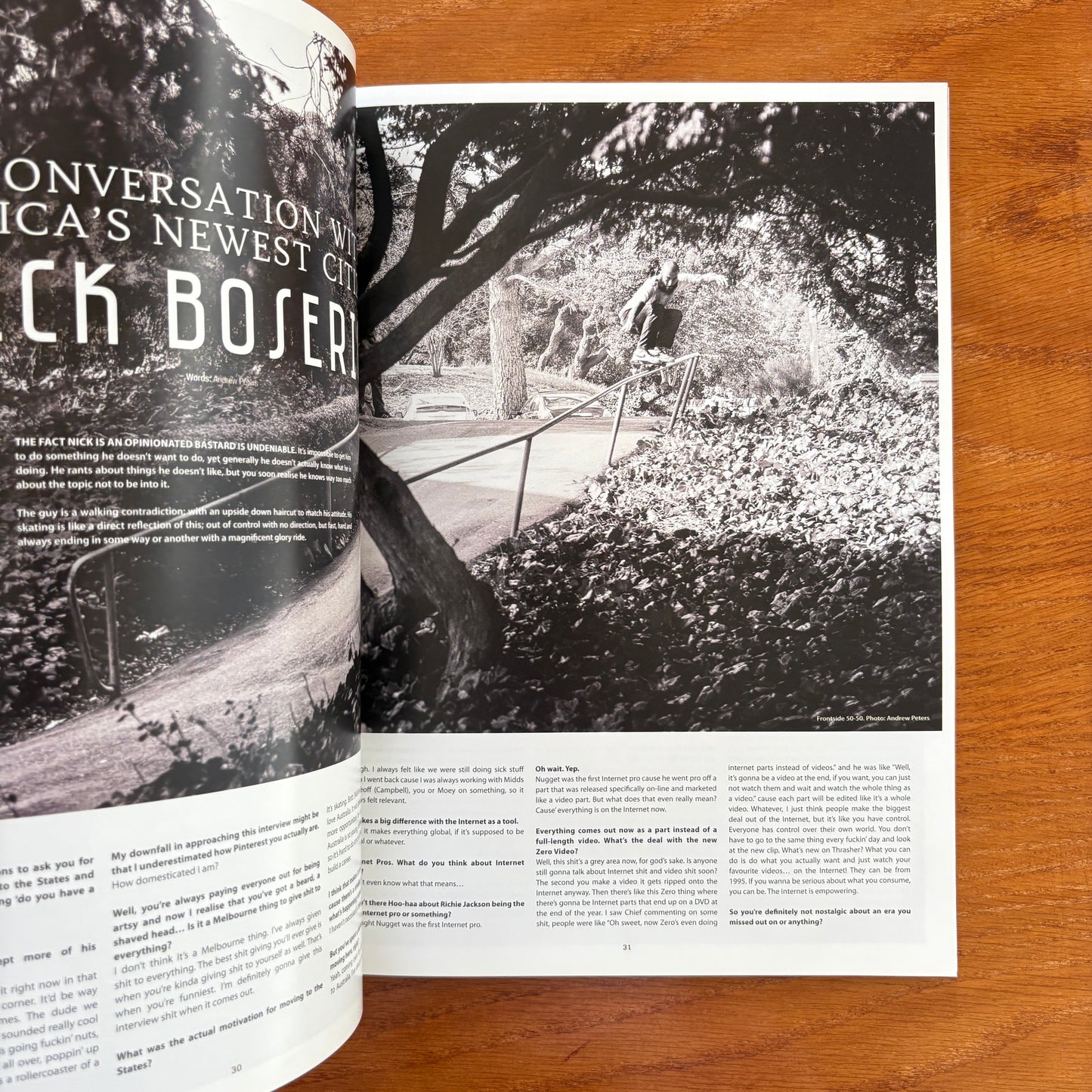 The Skateboarder's Journal 33