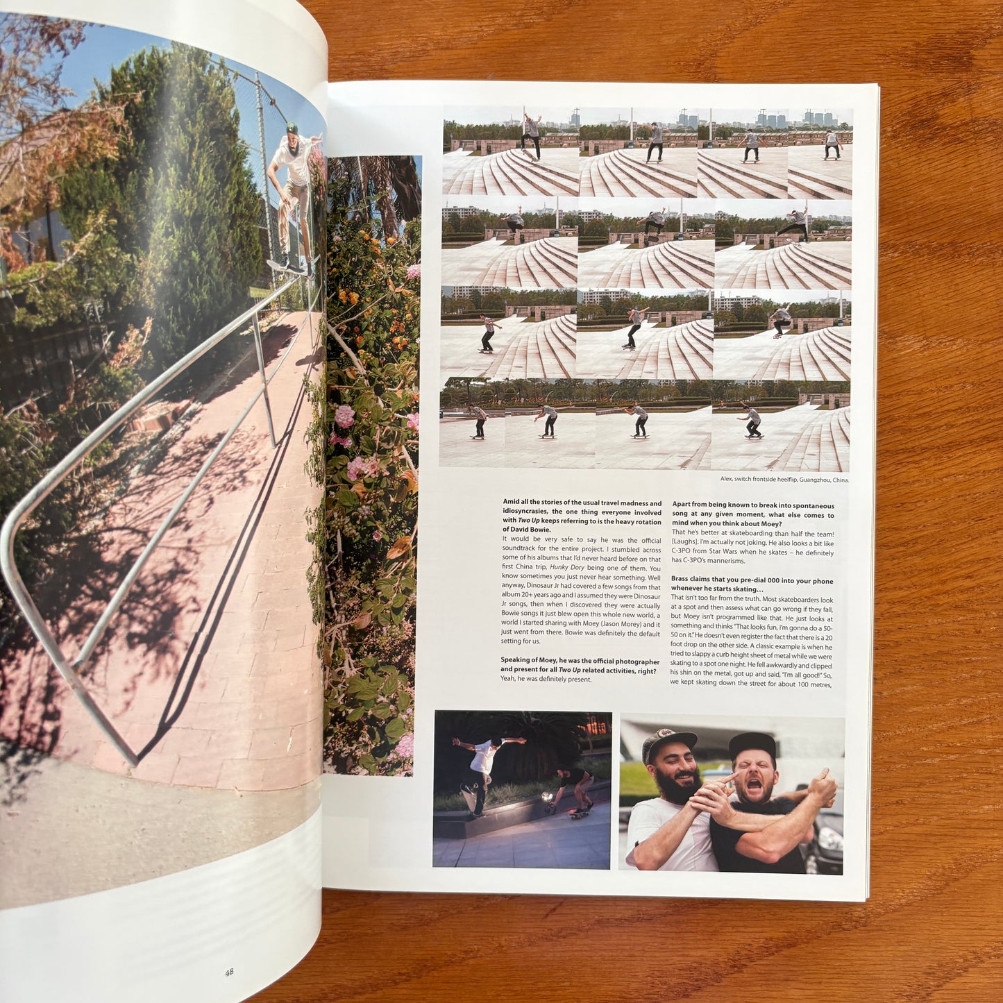 The Skateboarder's Journal 31