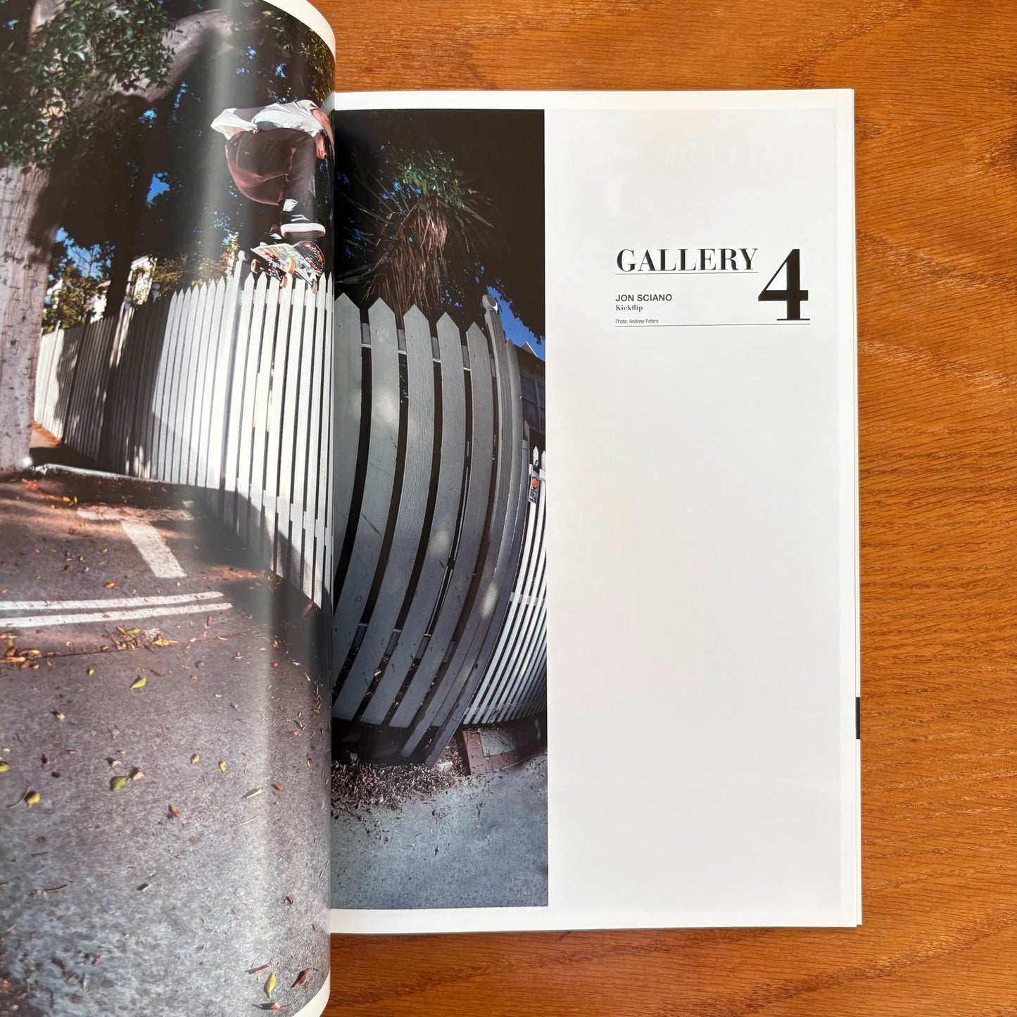 The Skateboarder's Journal 29