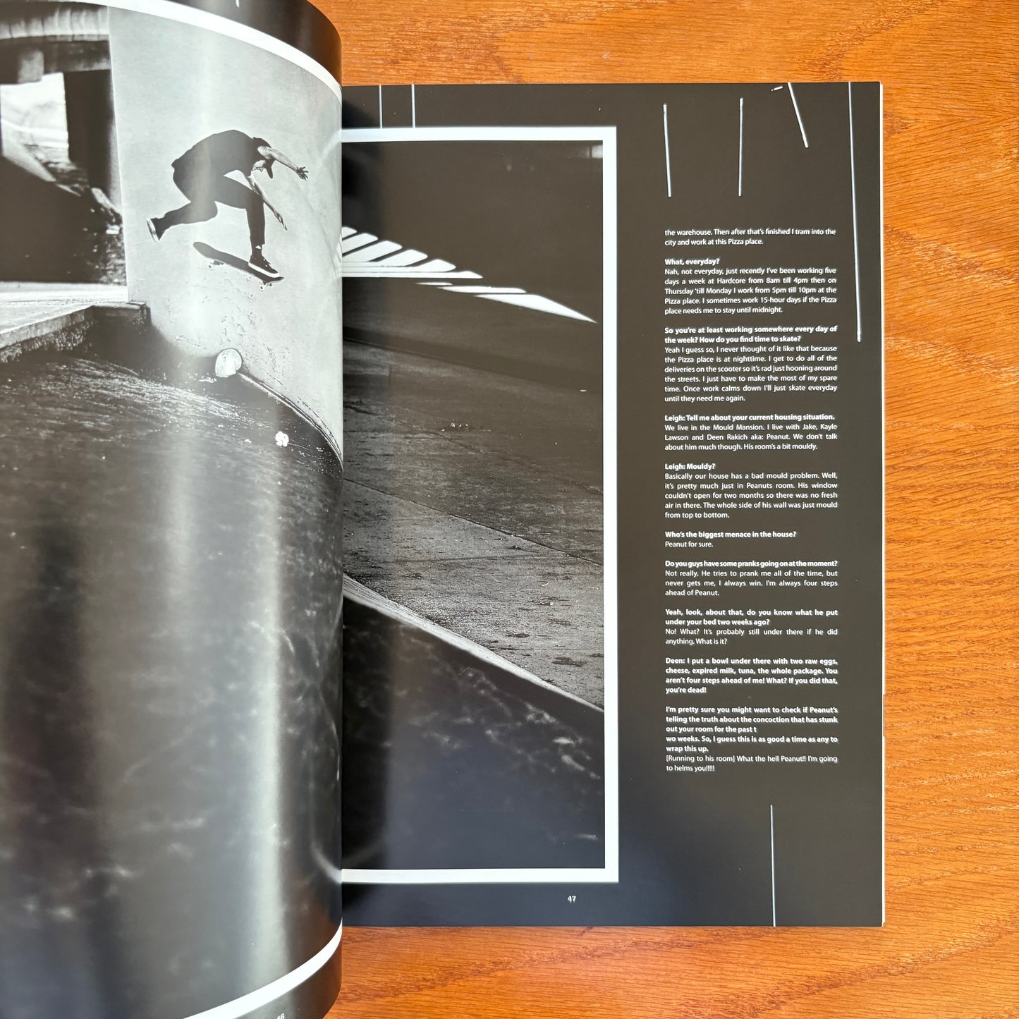 The Skateboarder's Journal 29