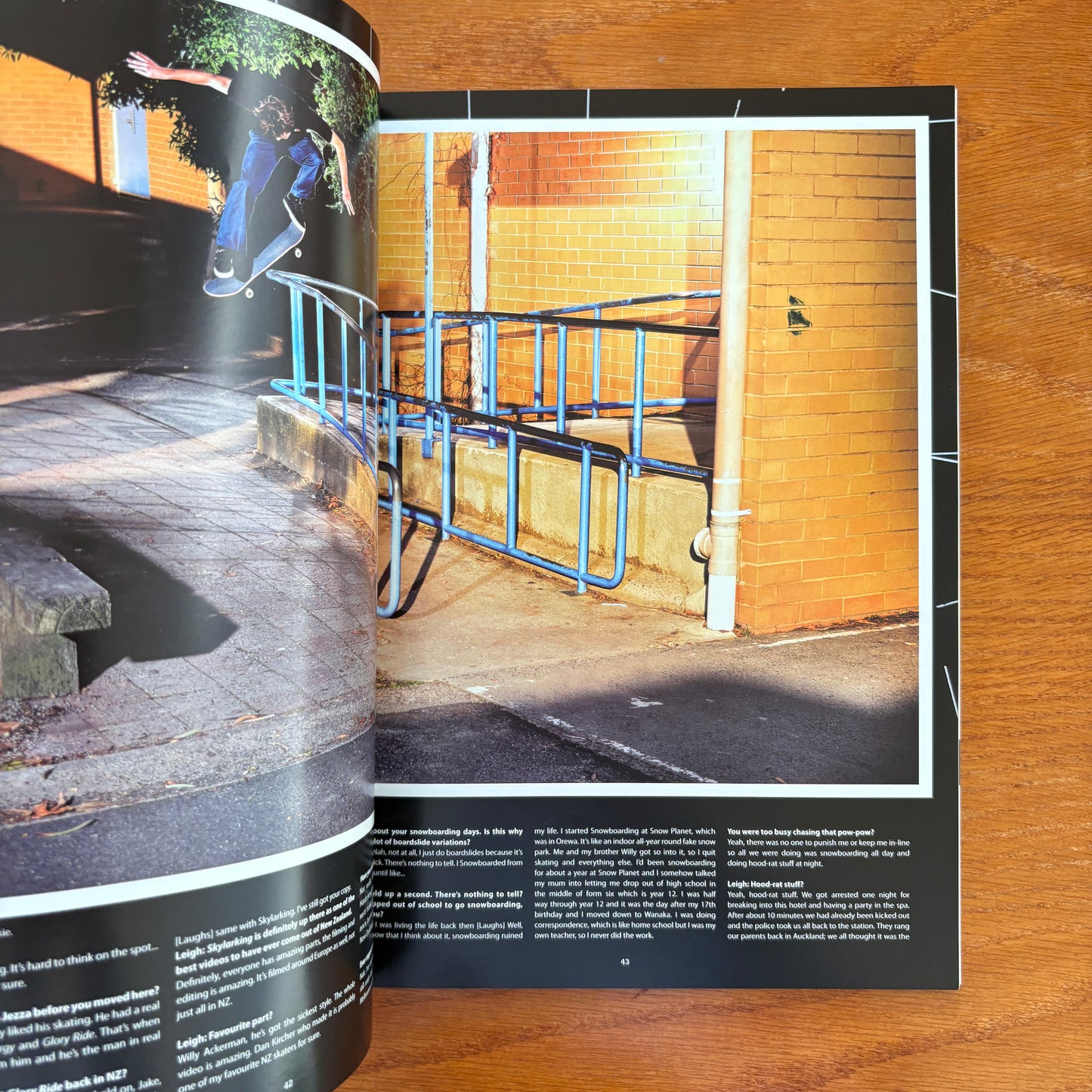 The Skateboarder's Journal 29
