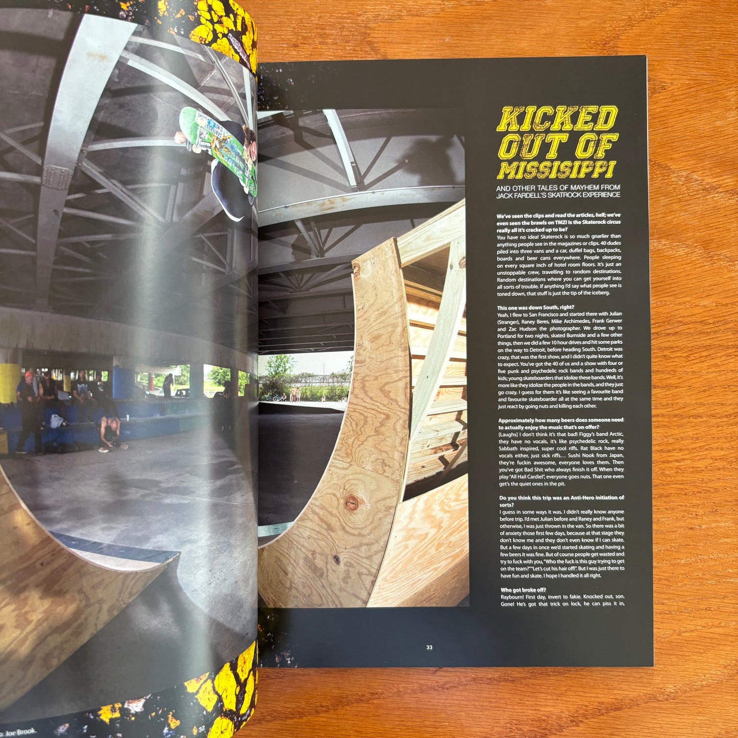 The Skateboarder's Journal 29
