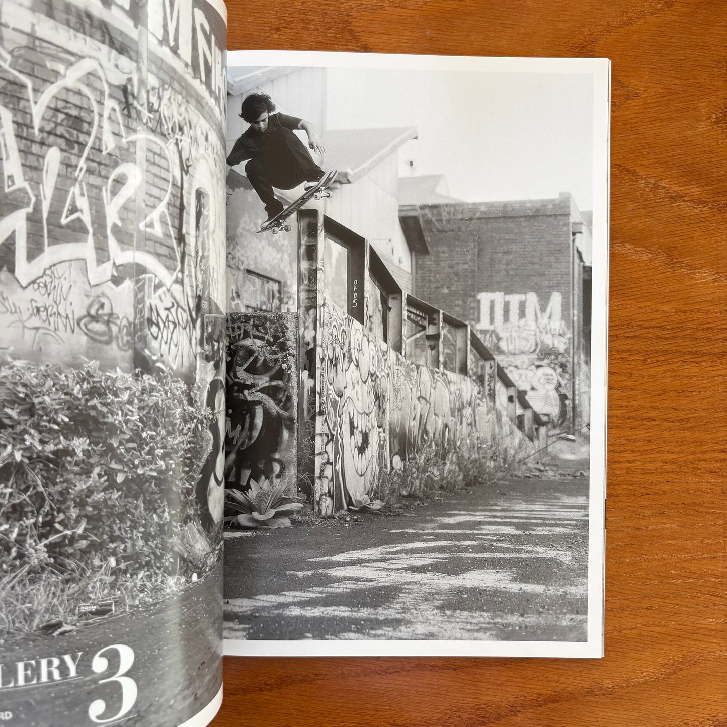 The Skateboarder's Journal 28