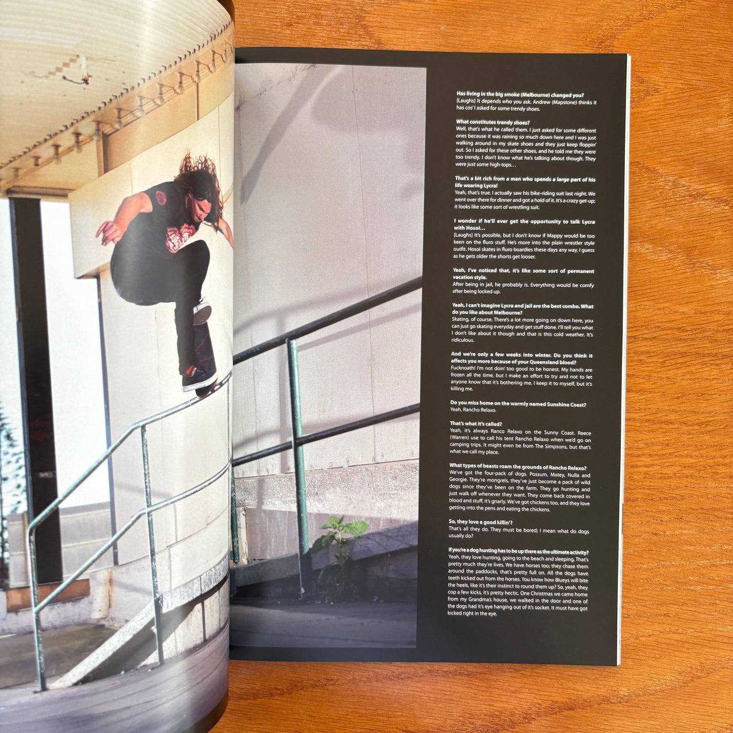 The Skateboarder's Journal 28