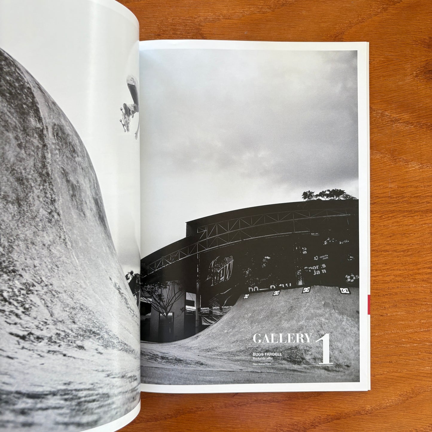 The Skateboarder's Journal 25