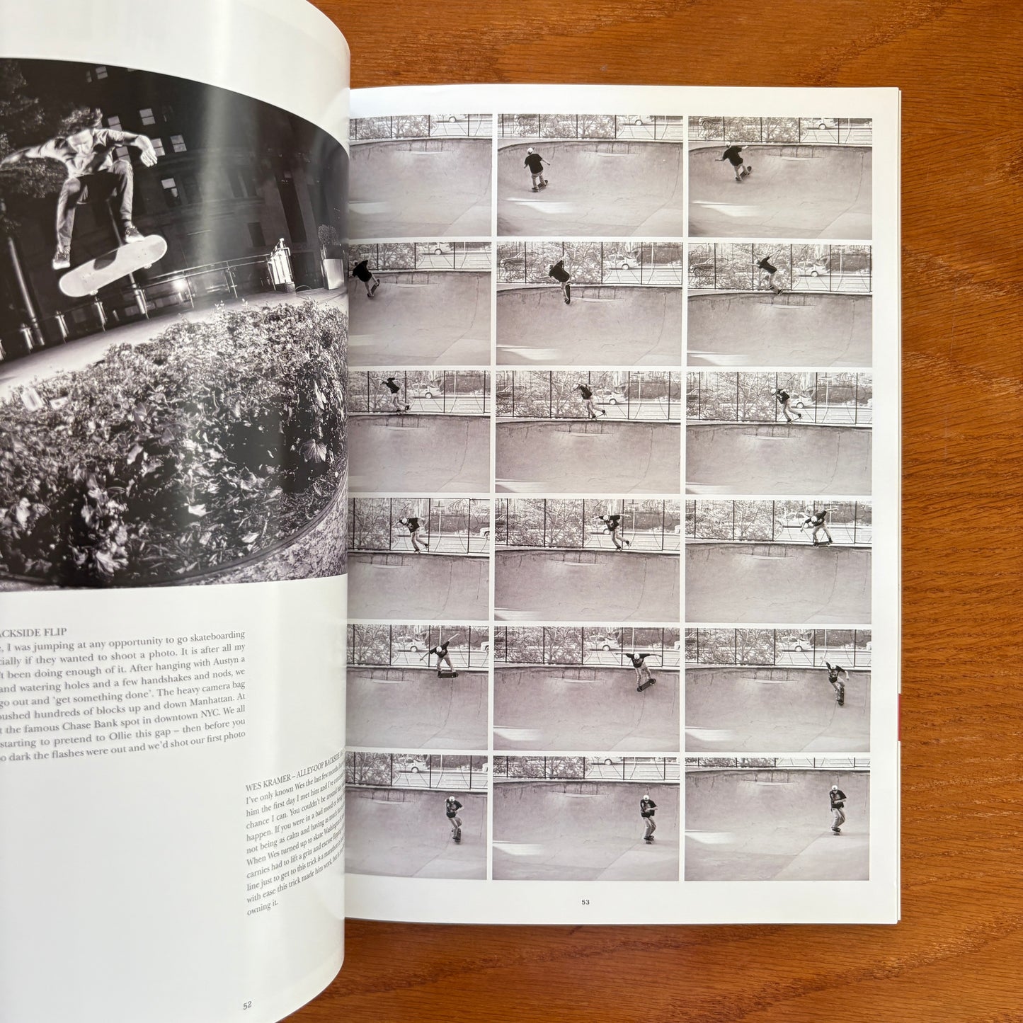 The Skateboarder's Journal 25
