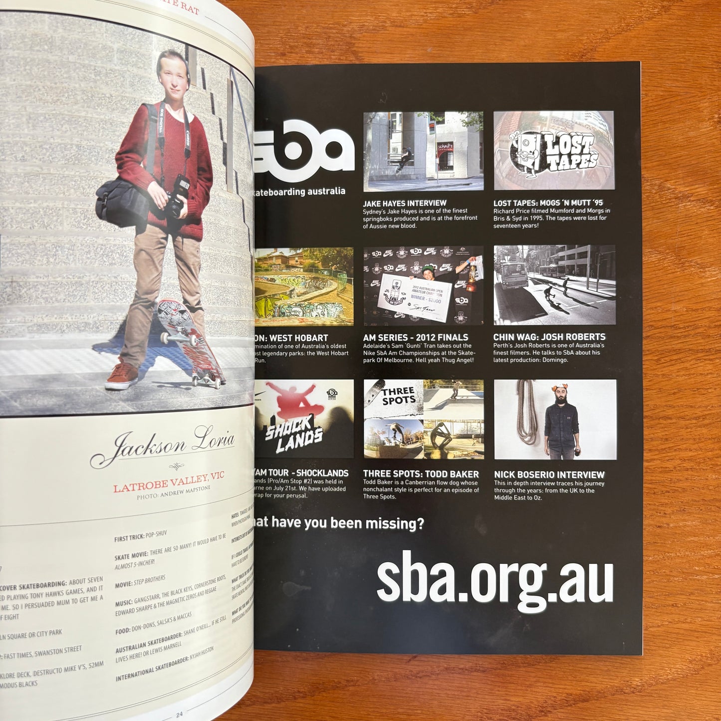 The Skateboarder's Journal 25