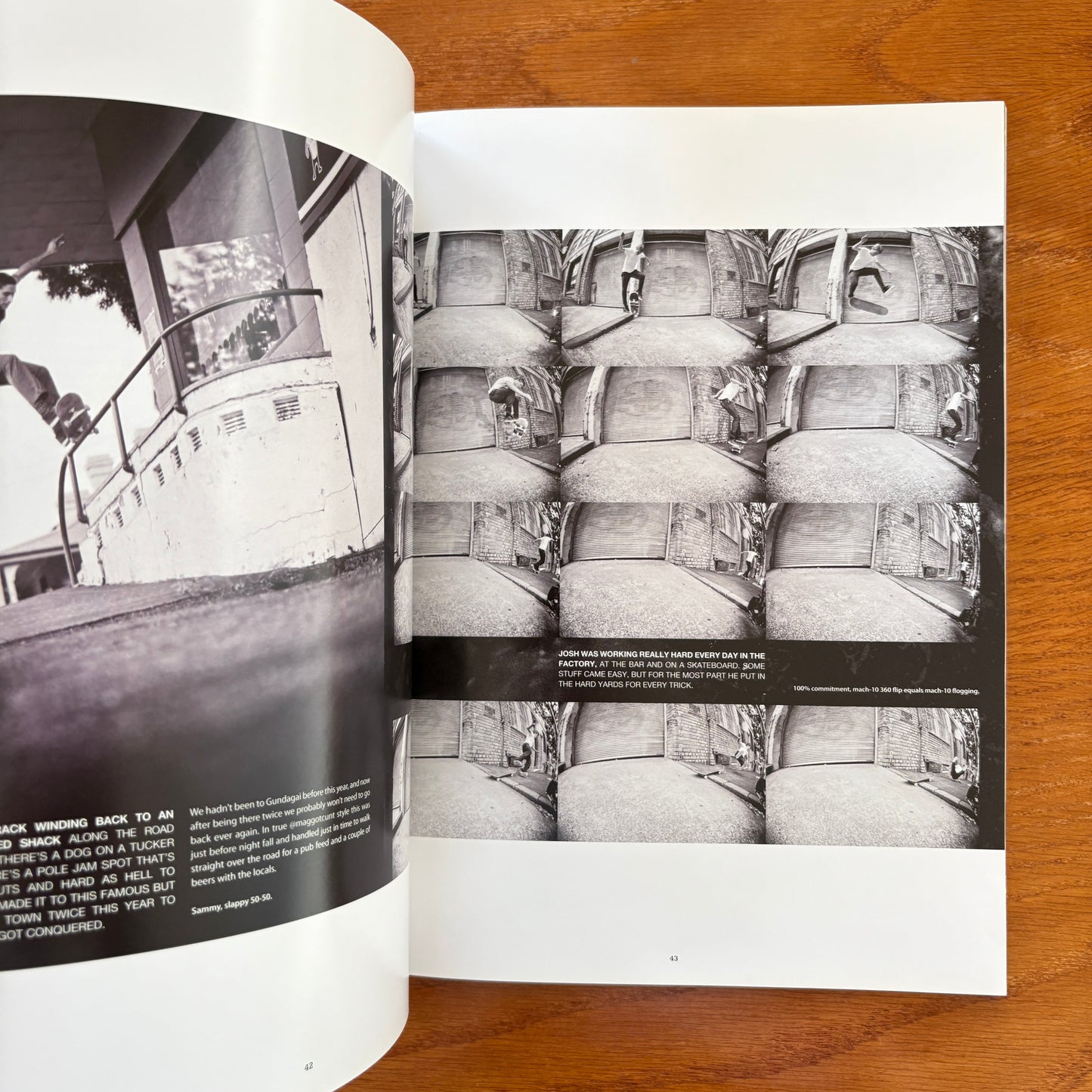 The Skateboarder's Journal 24