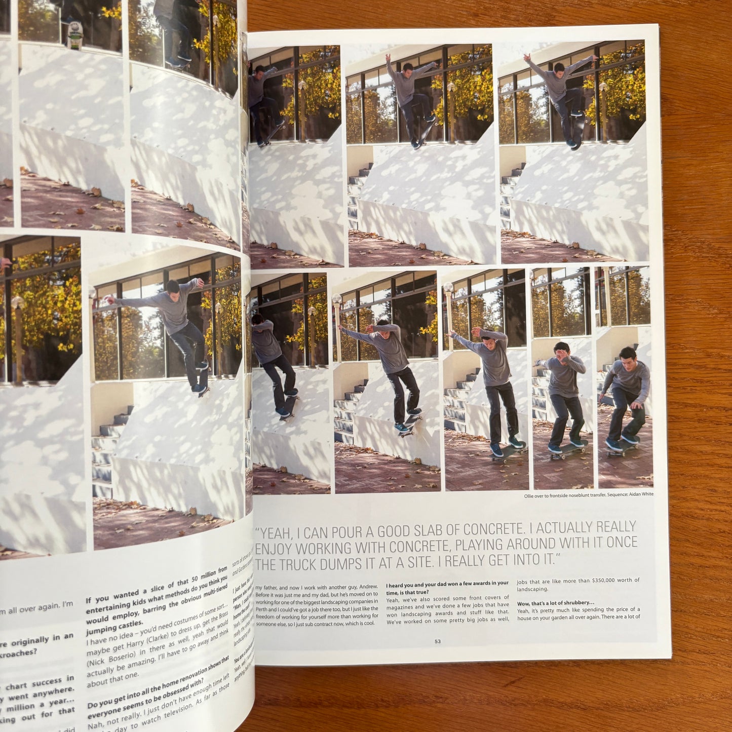 The Skateboarder's Journal 21
