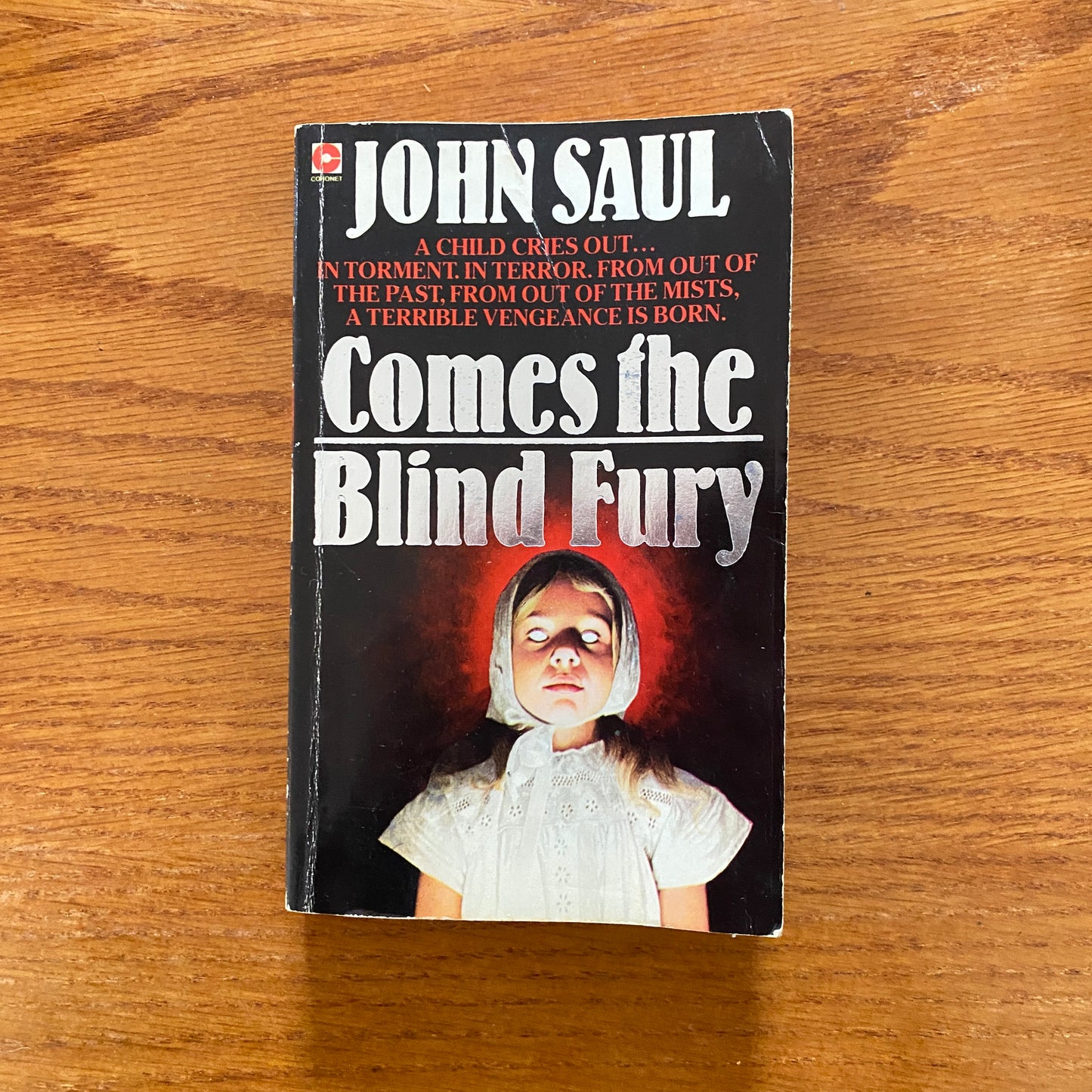 John Saul - Comes The Blind Fury