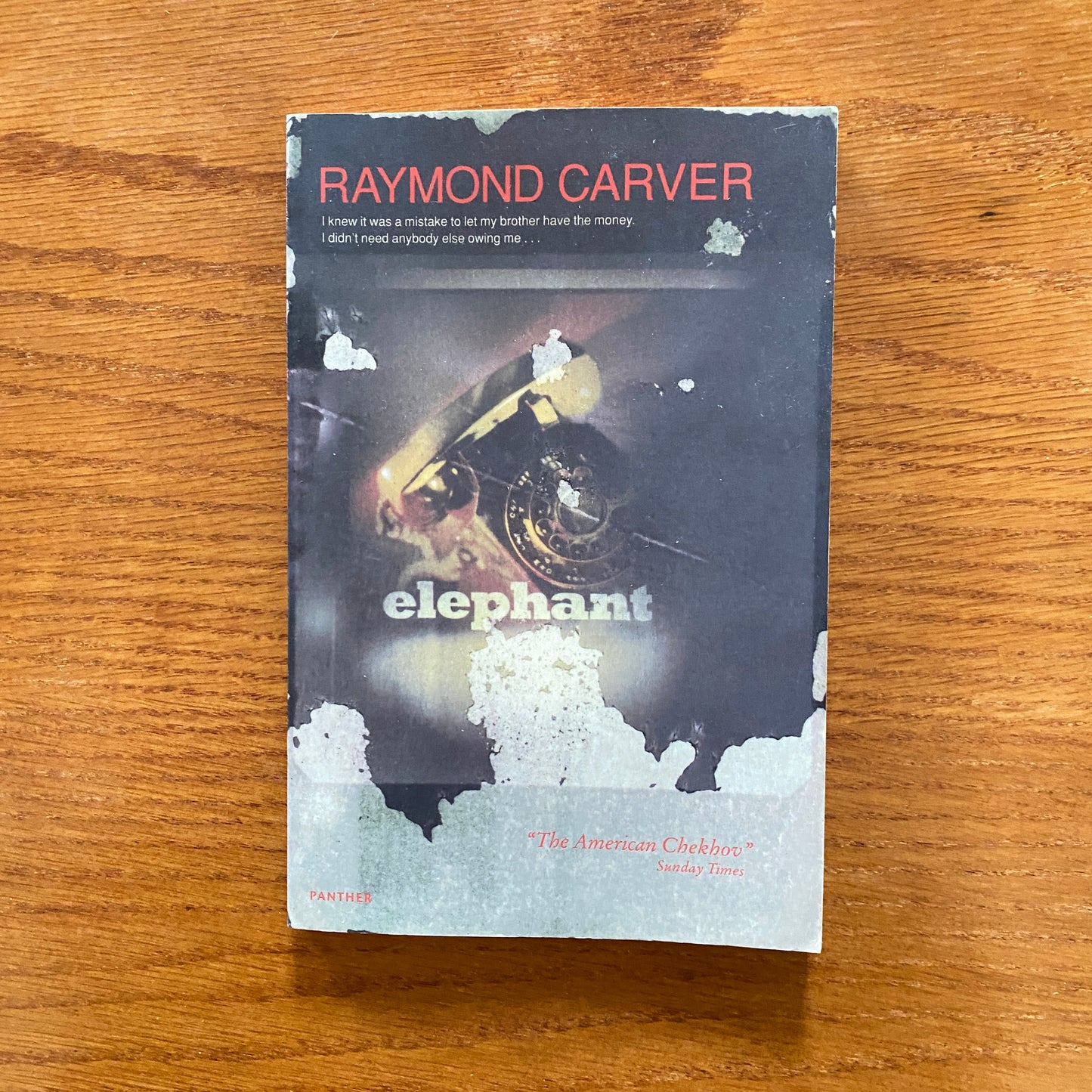 Raymond Carver - Elephant