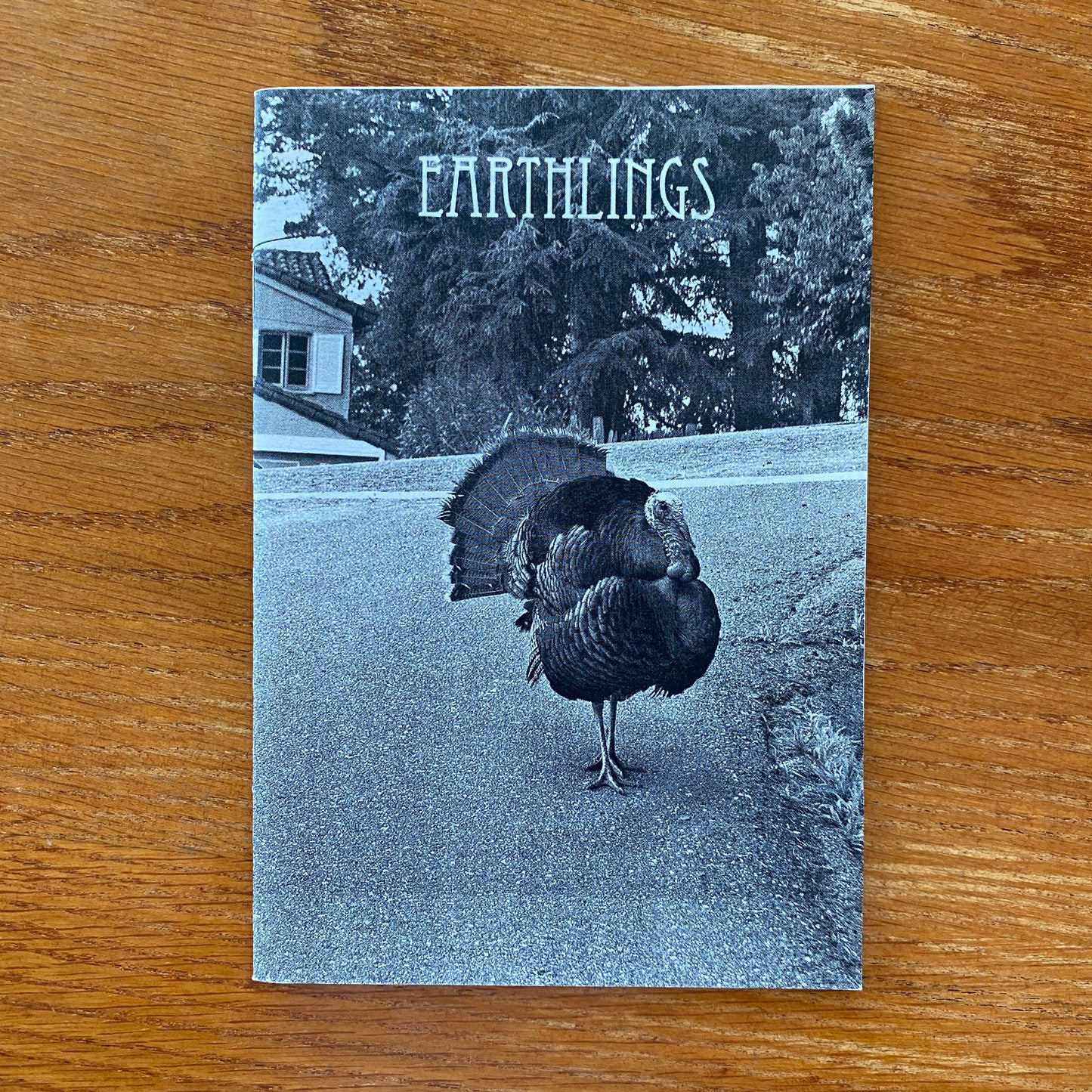 Earthlings - Uri Korn