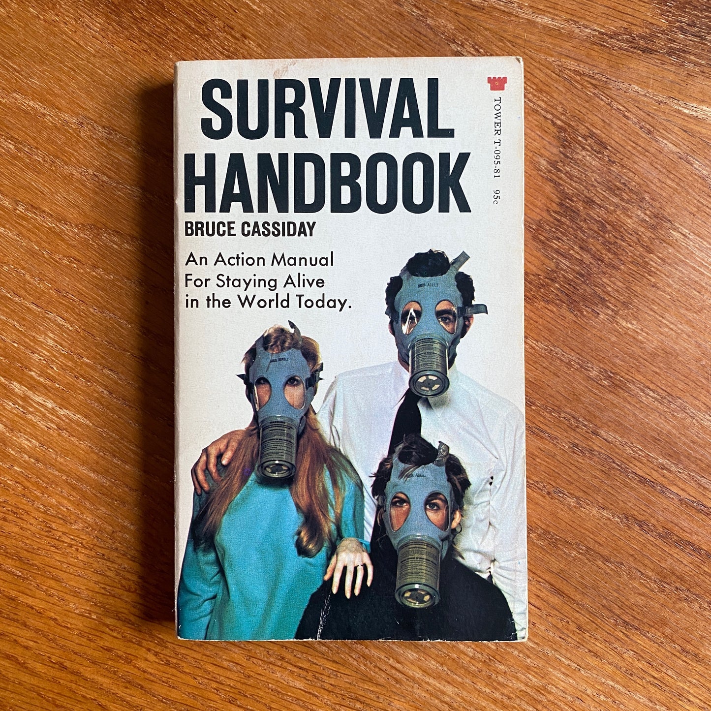 Survival Handbook - Bruce Cassiday