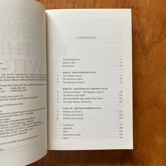 The Witch - Ronald Hutton