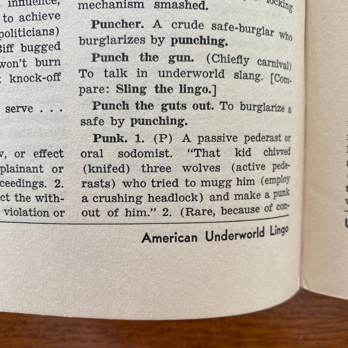 Dictionary of American Underworld Lingo - Hyman E. Goldin