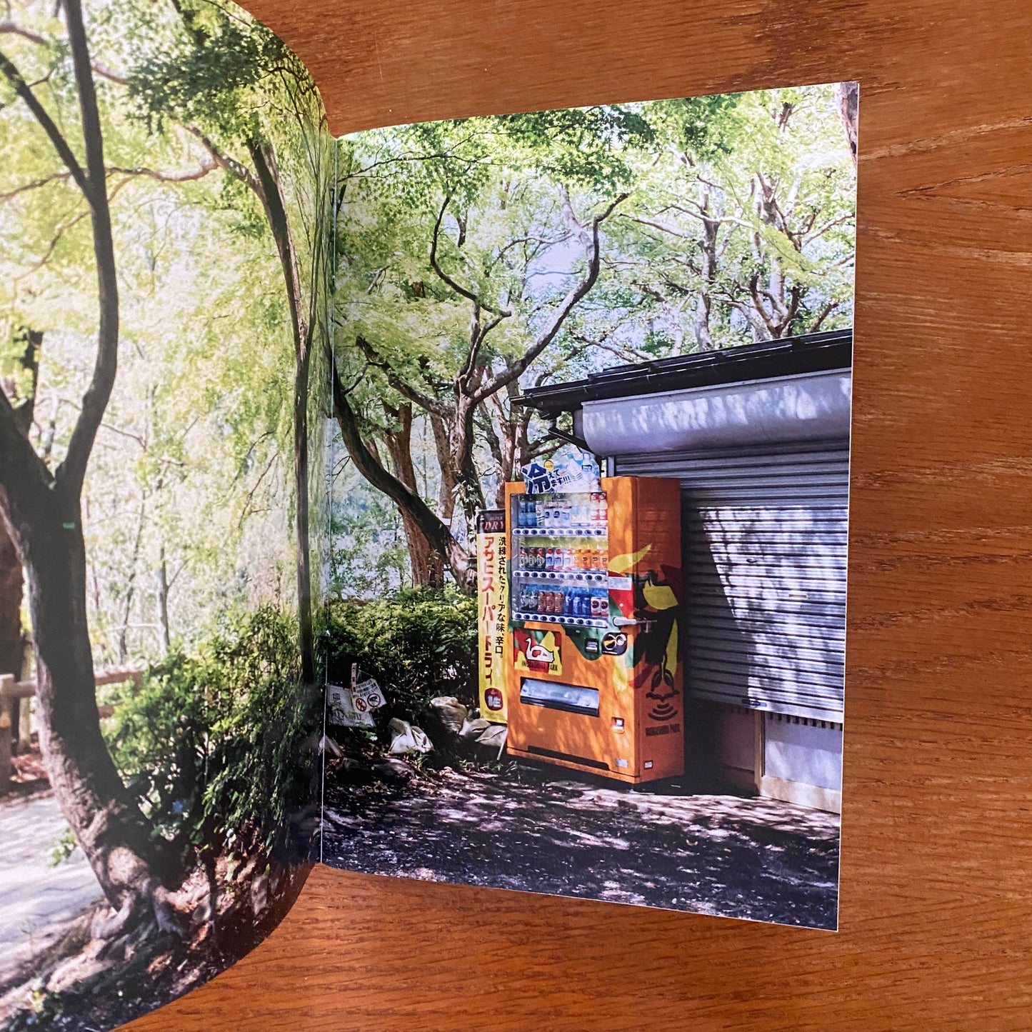 Vending Machines Of Japan - Natalie Blom