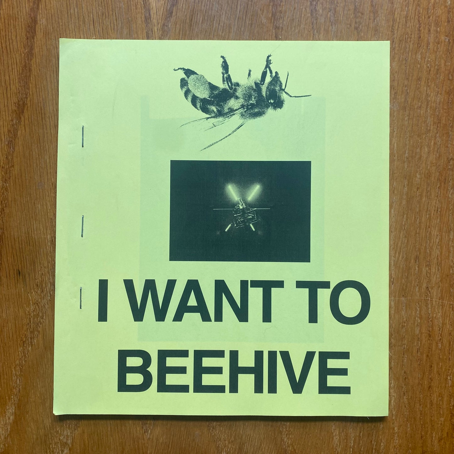 I Want To Beehive - Danube