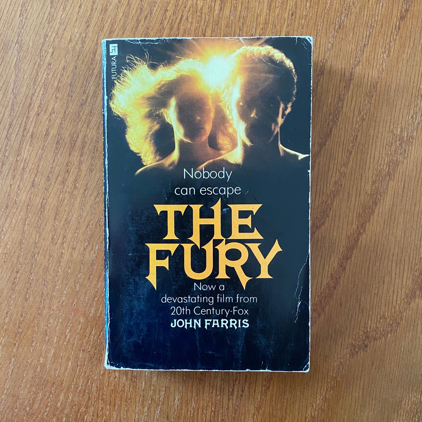 The Fury - John Farris