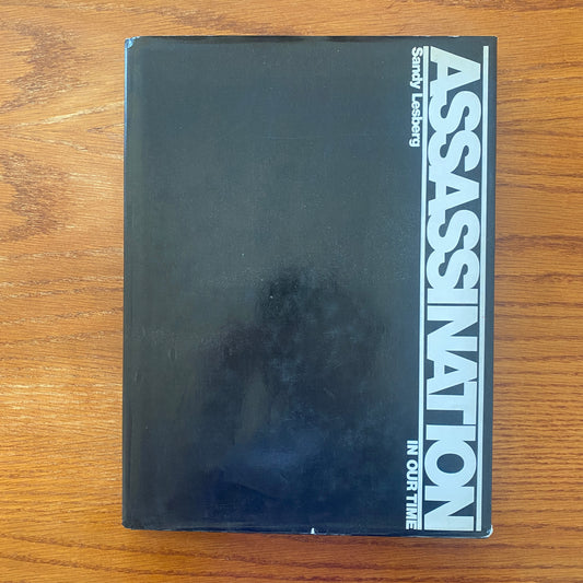 Assassination In Our Time - Sandy Lesberg