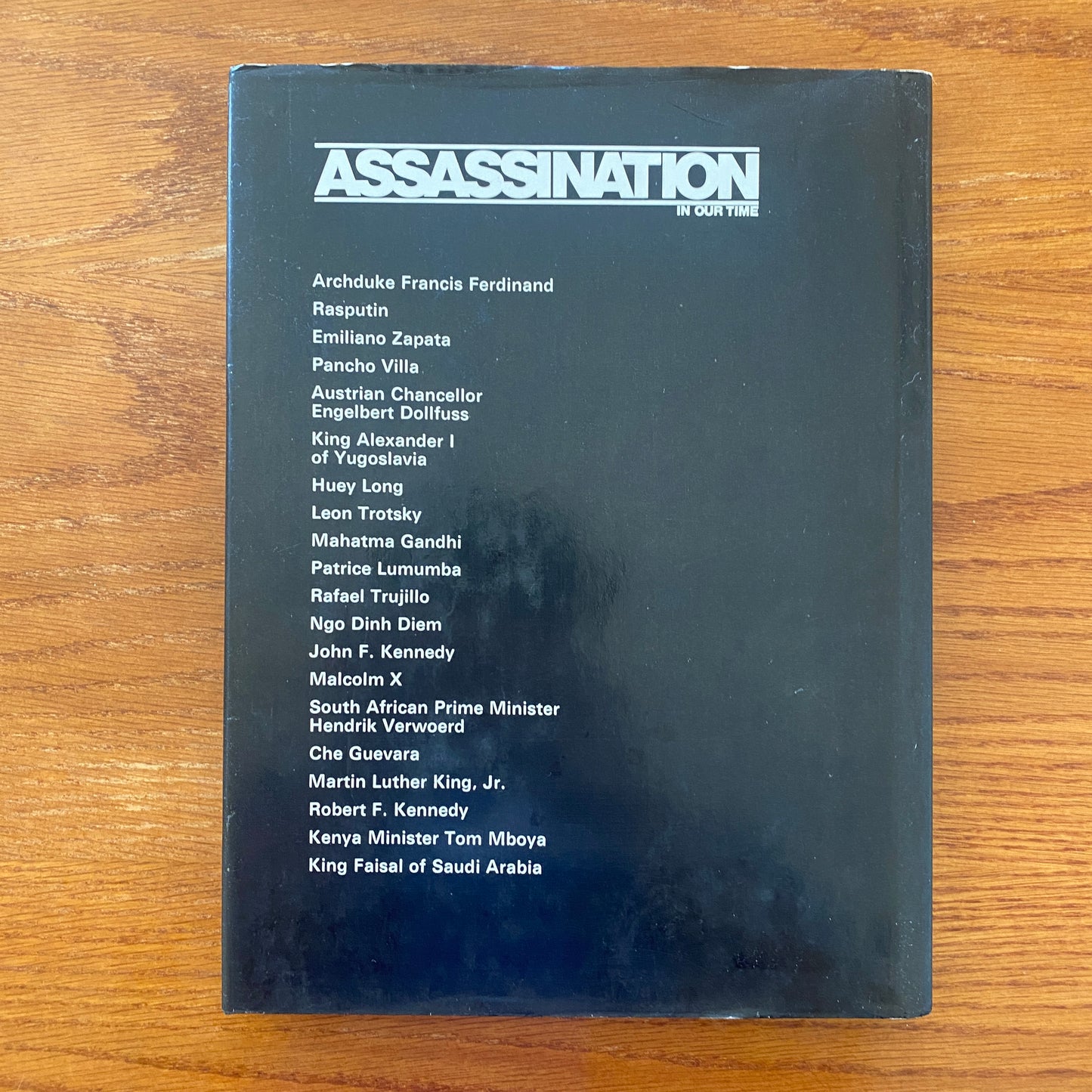 Assassination In Our Time - Sandy Lesberg