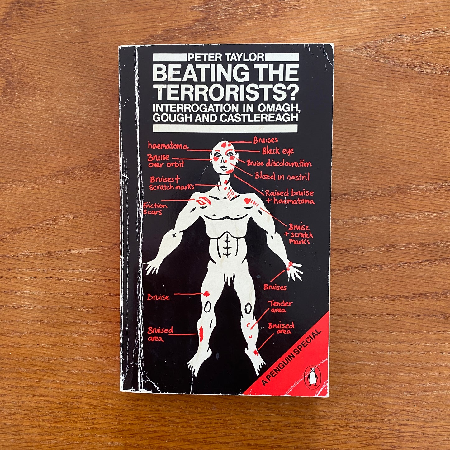 Beating The Terrorists - Peter Taylor