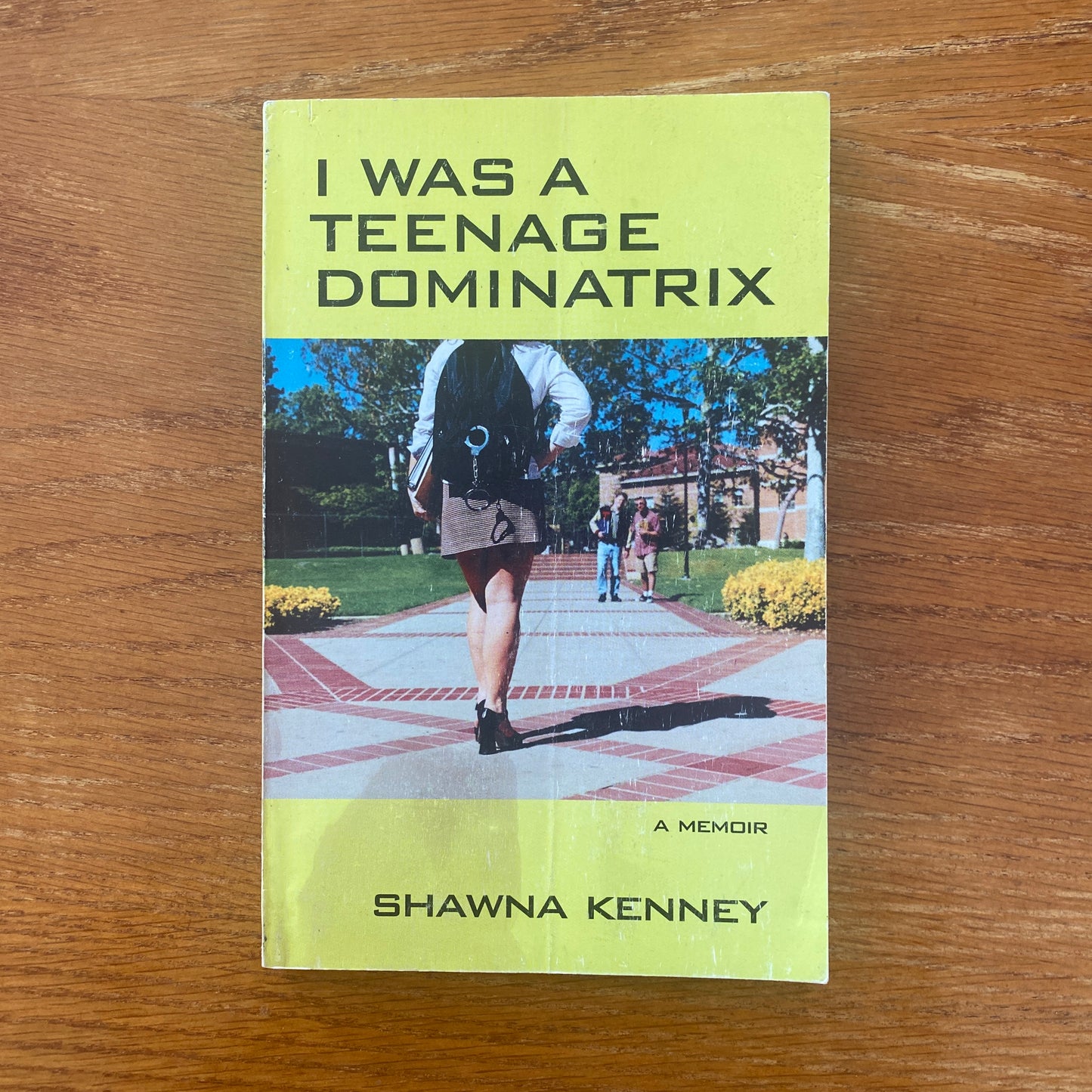 I Was A Teenage Dominatrix - Shawna Kenney