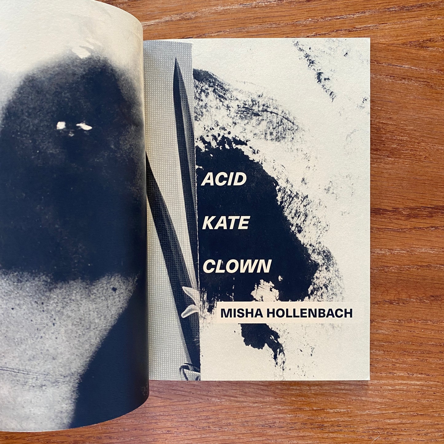 Acid Kate Clown - Misha Hollenbach
