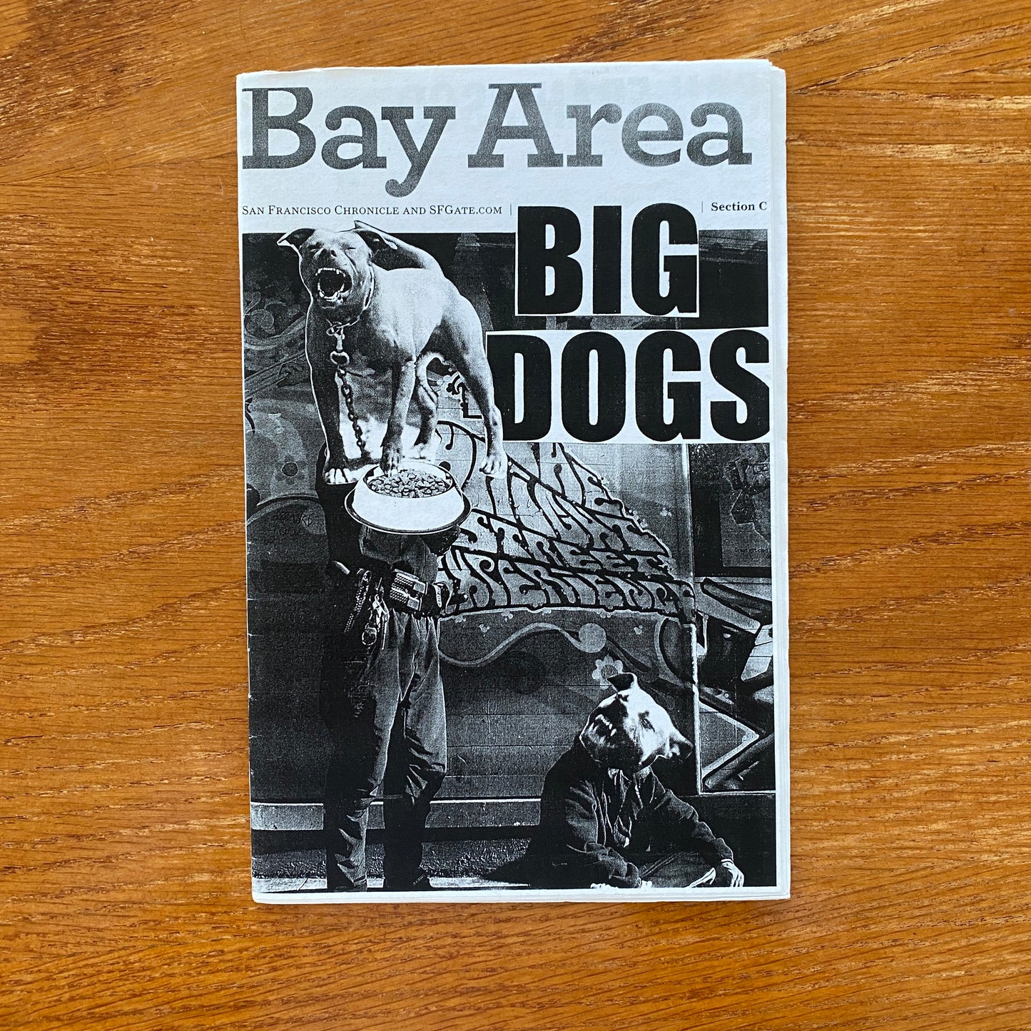 Bay Area Big Dogs
