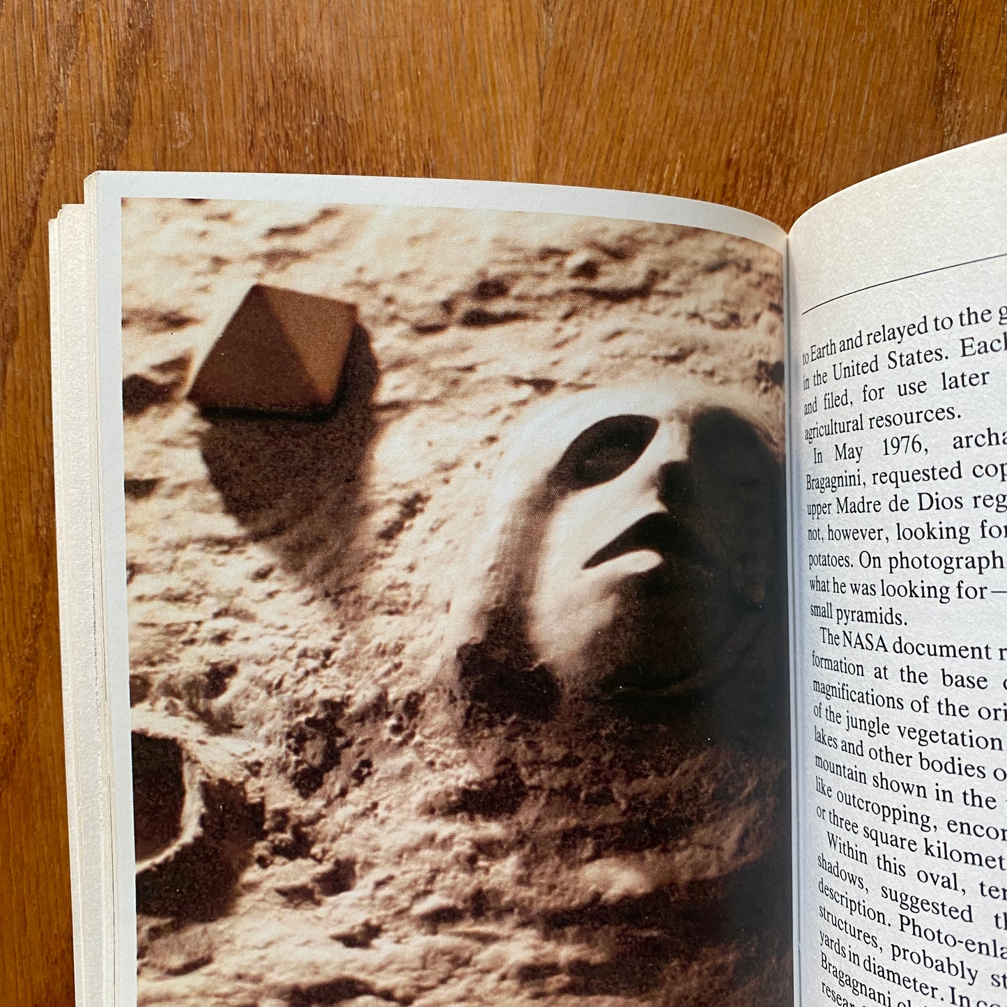 The Face on Mars - Brian Crowley