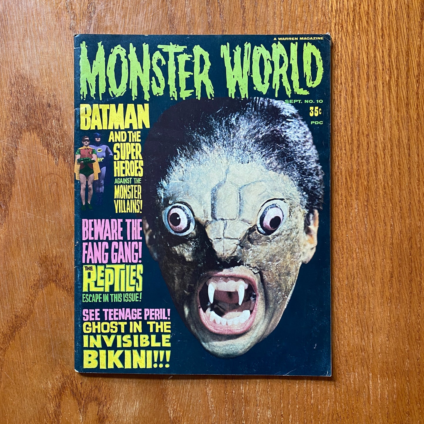 Monster World 10