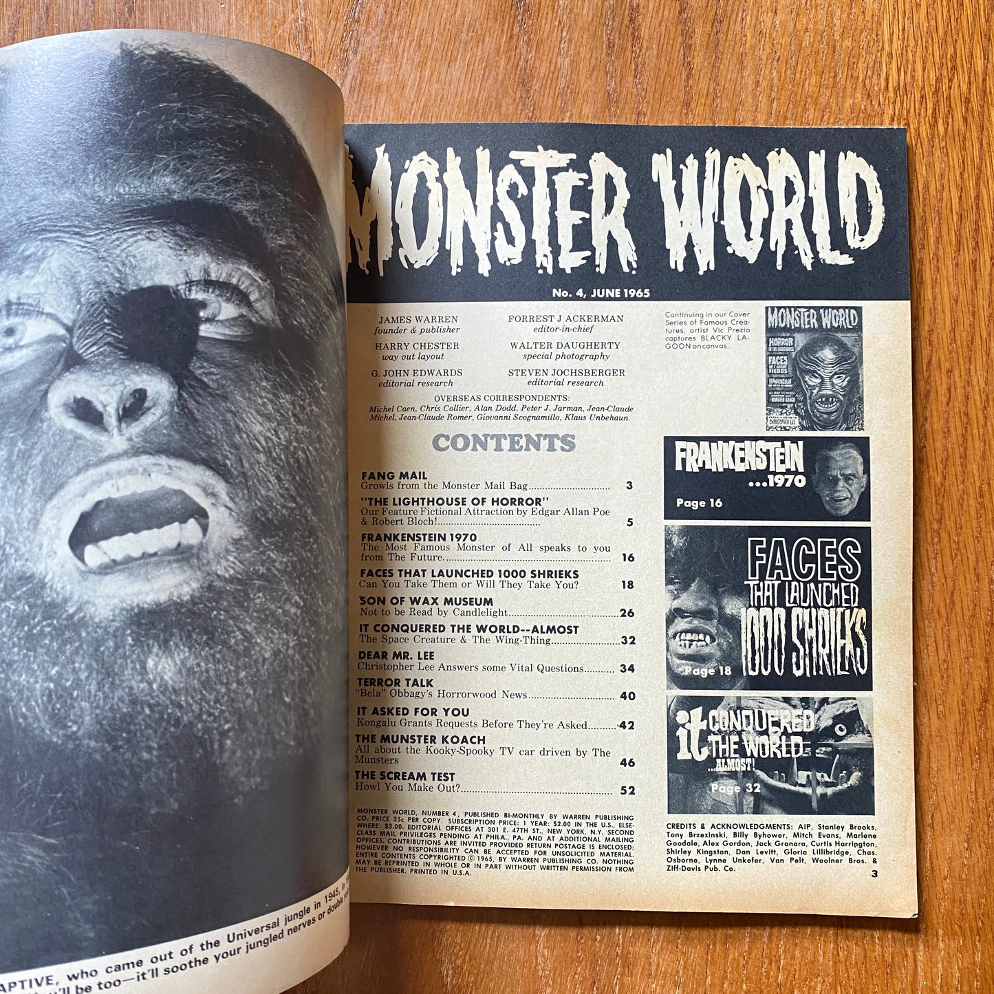 Monster World 4