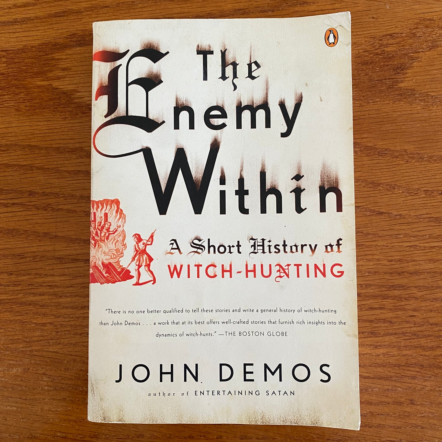 The Enemy Within: A Short History of Witch-hunting - John Demos